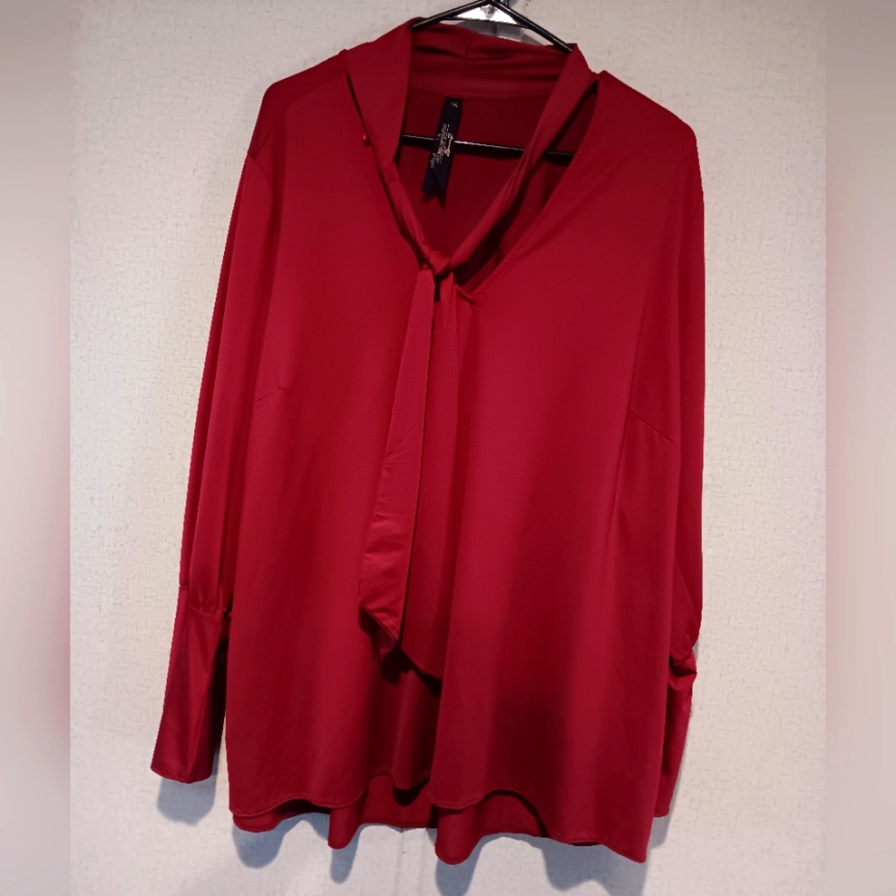 Melissa McCarthy Rich Red Blouse